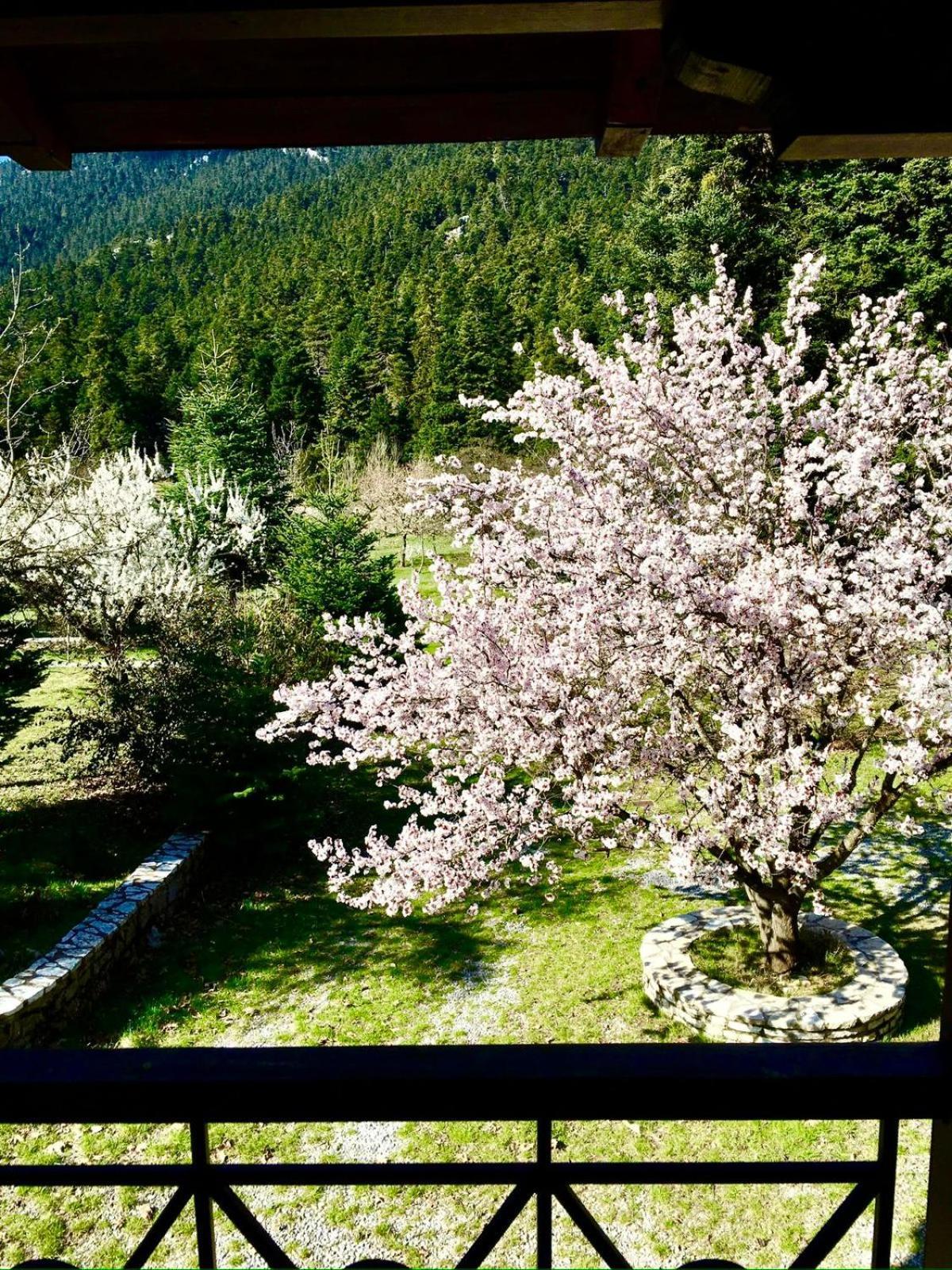 Alpine Escape Maisonette By Ski Alure Arachova Zewnętrze zdjęcie